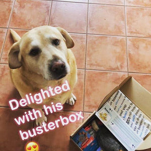 BusterBox Birthday Surprise