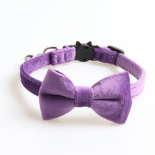 Load image into Gallery viewer, Velvet Bowknot Dog Collar