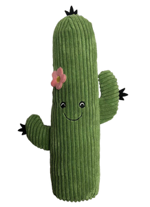 BusterBox mexican cactus