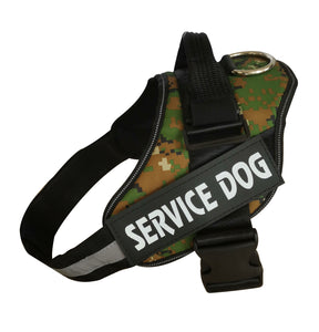 Personalize Dog Harness With Dog Name