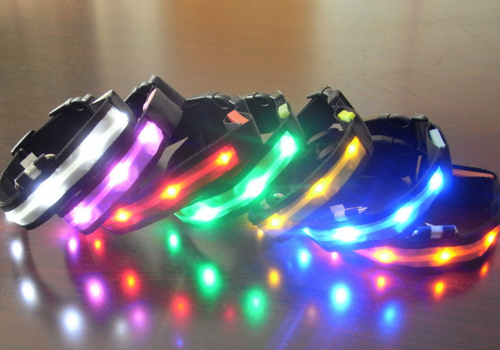 Vibrant LED Dog Collar