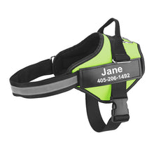 Load image into Gallery viewer, Personalize Dog Harness With Dog Name