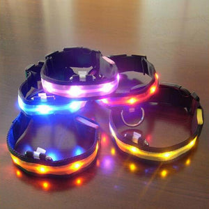 Vibrant LED Dog Collar