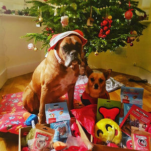 Doggy Christmas Hamper Deluxe