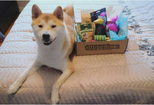 Load image into Gallery viewer, BusterBox Furry Friend Subscription - 6 Month