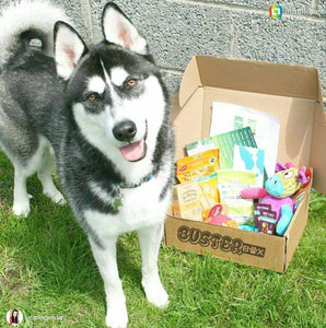 BusterBox Doggy Gift Card