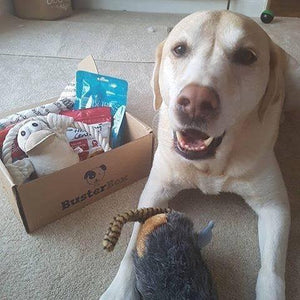 BusterBox Best Friend Subscription - 12 Month