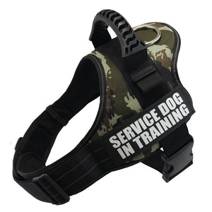 Personalize Dog Harness With Dog Name