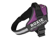 Load image into Gallery viewer, Personalize Dog Harness With Dog Name