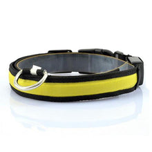 Load image into Gallery viewer, Vibrant LED Dog Collar