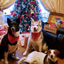 Load image into Gallery viewer, Doggy Christmas Hamper Ultimate