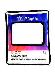 BusterBox Insta Frame Toy