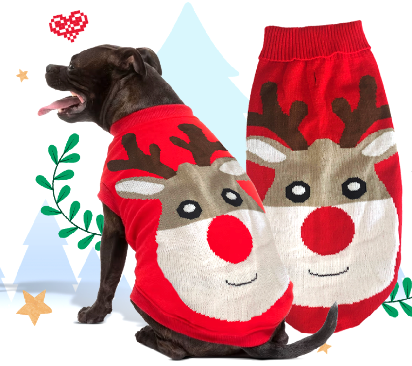 Reindeer Dog jumper + FREE Jerry the Snowman toy