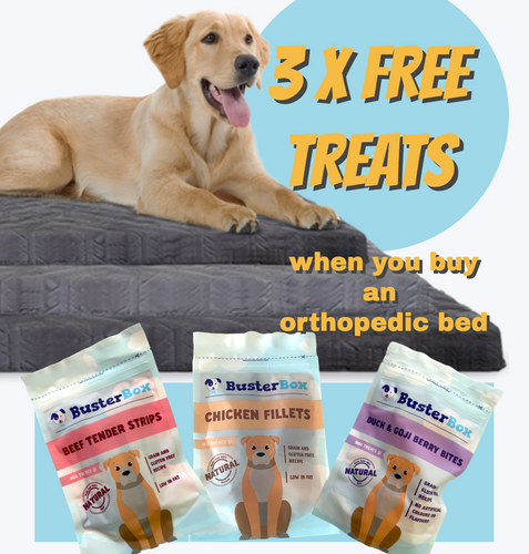 3 x FREE treats + BED offer