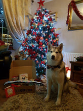 Load image into Gallery viewer, Doggy Christmas Hamper Deluxe